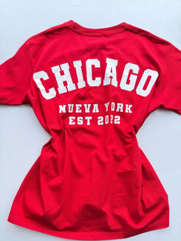 Over Chicago - Imagen 2